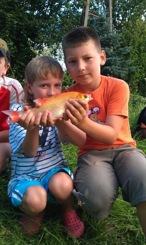 Szkółka 2012